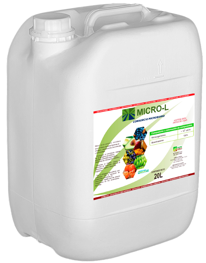 NS-Web-Producto-2