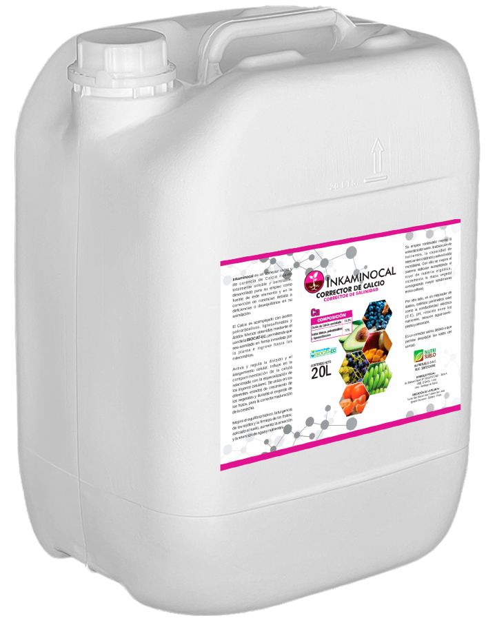 NS-Web-Producto-3